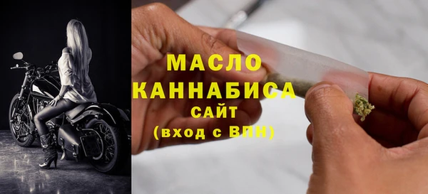 мдпв Павловск