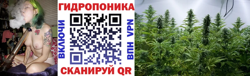 купить наркотики сайты  Уяр  Конопля Amnesia 